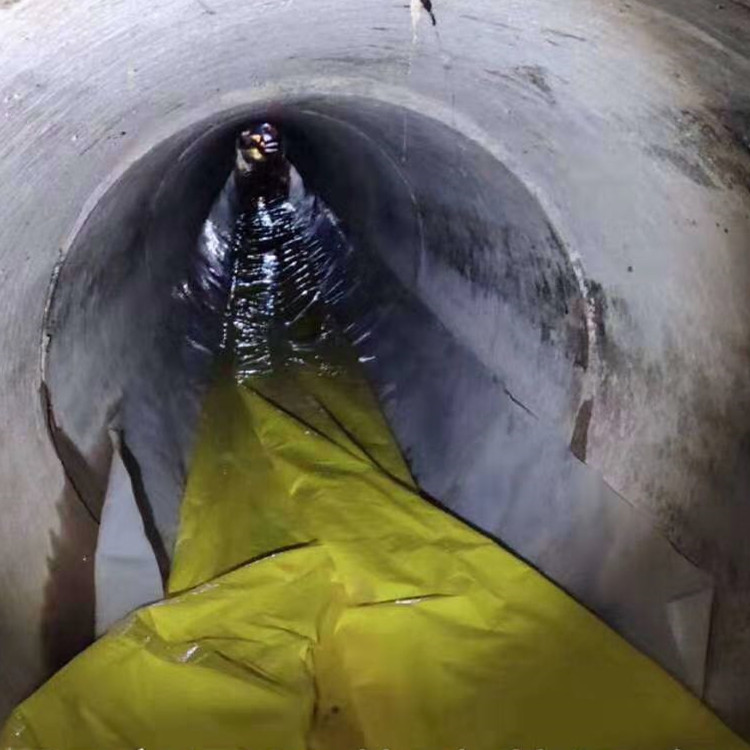 温岭管道光固化修复